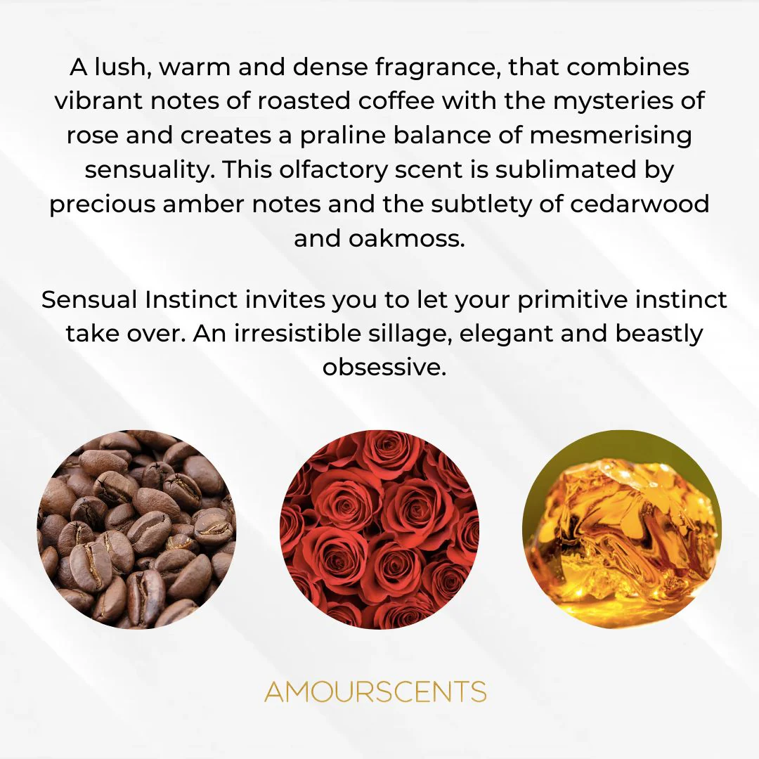 Sensual Instinct Car Freshener (Inspired) - Instinct - Image 2